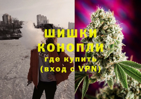 СК Богородицк