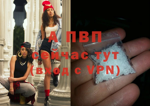 СК Богородицк