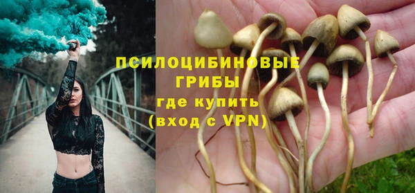 СК Богородицк