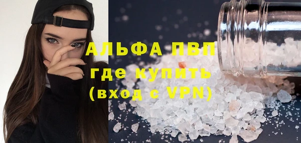 СК Богородицк